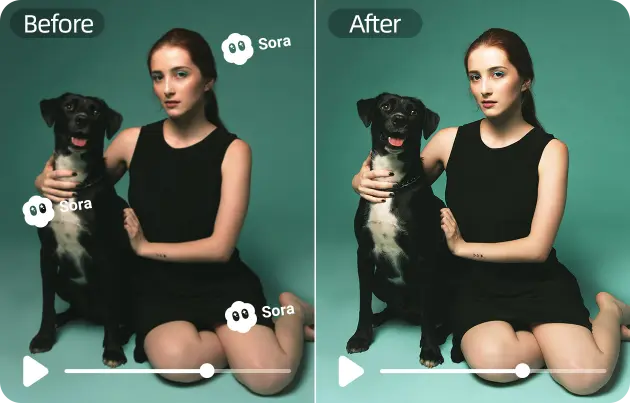 Remove sora watermark from video