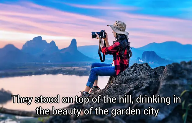 Video Subtitles Remover