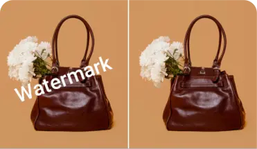 Image Watermark Remover