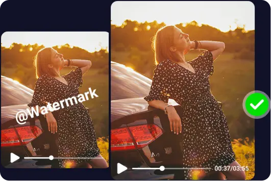 Online preview of video watermark removal effects