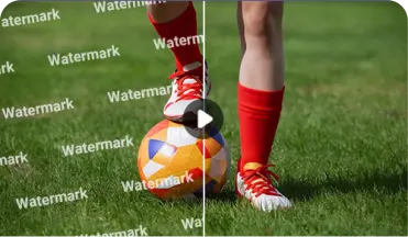 Al Dewatermark from Video